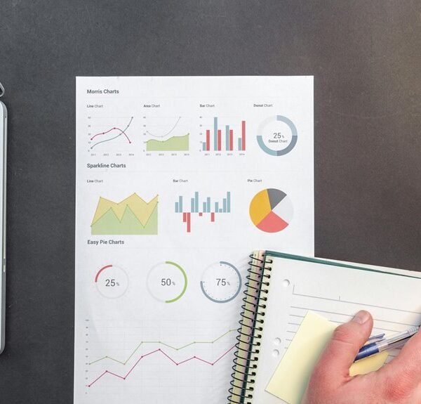 organizational data assessment report