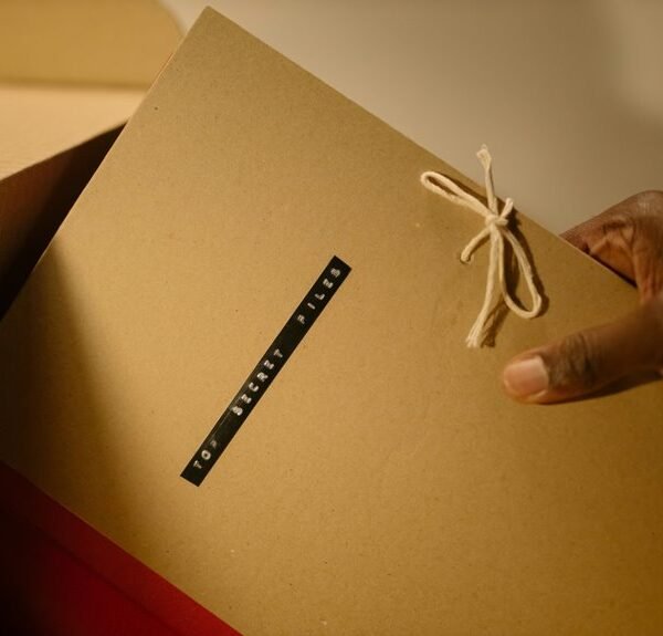 Organizational Intelligence Digest for 21543780, 120907061, 7324605093, 374747014,&hellip;