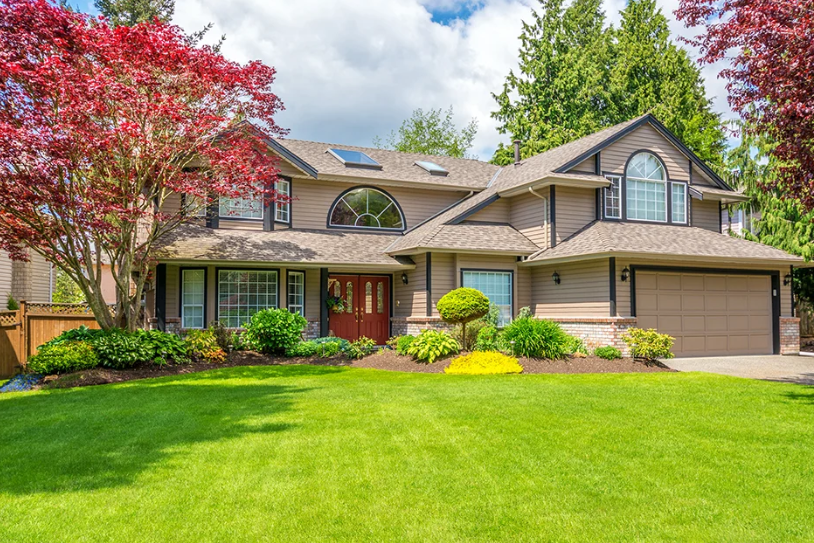 Greener Grass Landscaping: Where Quality Meets Affordability